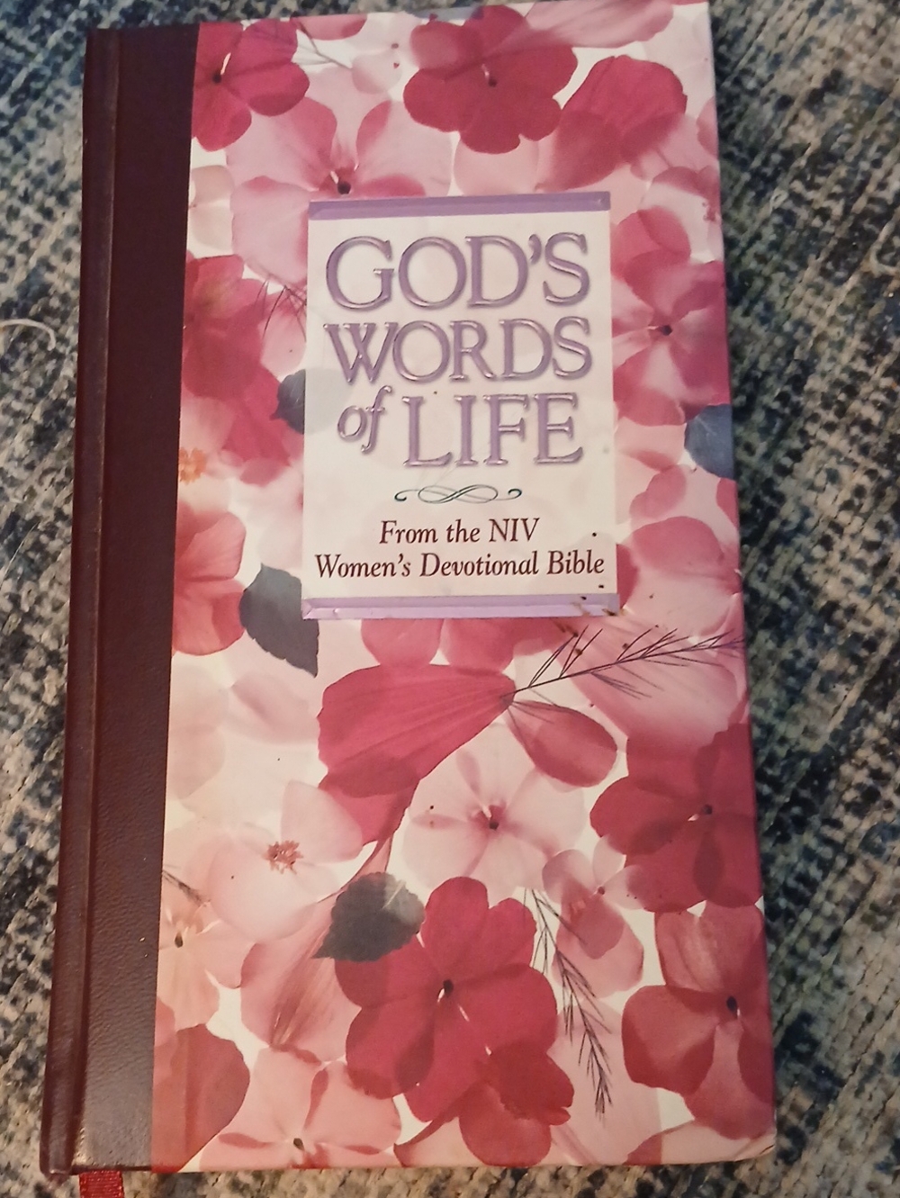 God's Words of Life Women's Devotional  - Pink Floral